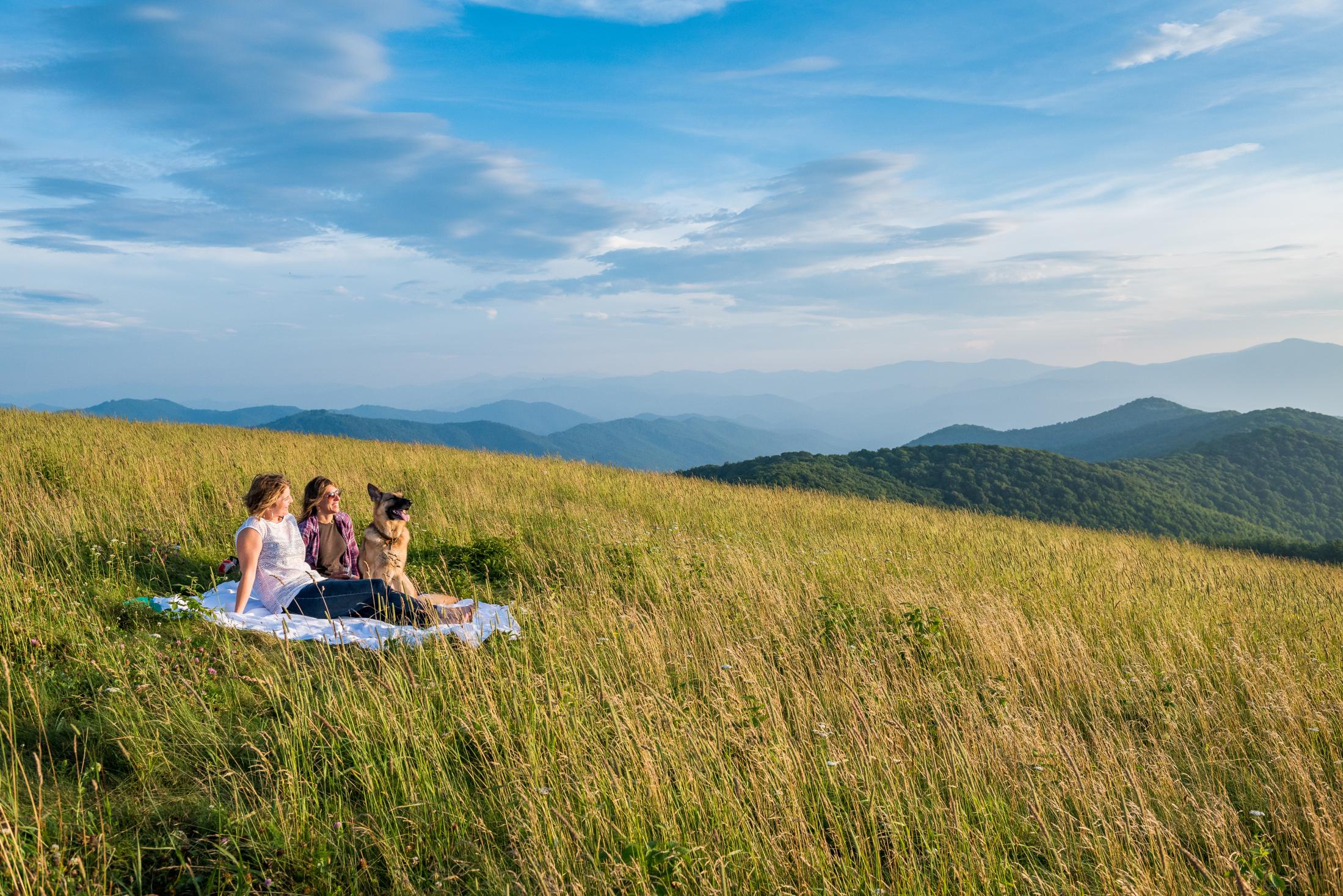 Summer in Asheville